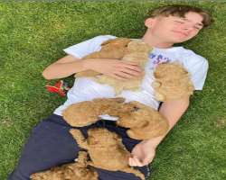 James has mad love for pets. They own many pets and treat them like their family members.